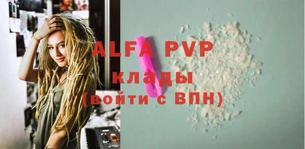 индика Балахна