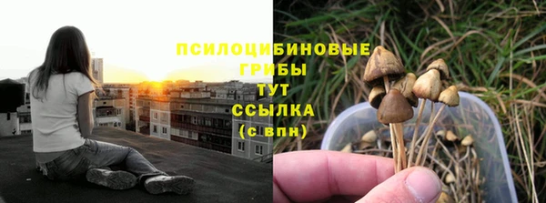 индика Балахна