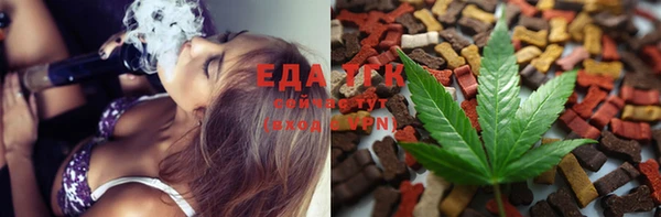 индика Балахна