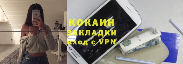 индика Балахна