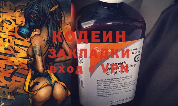 индика Балахна