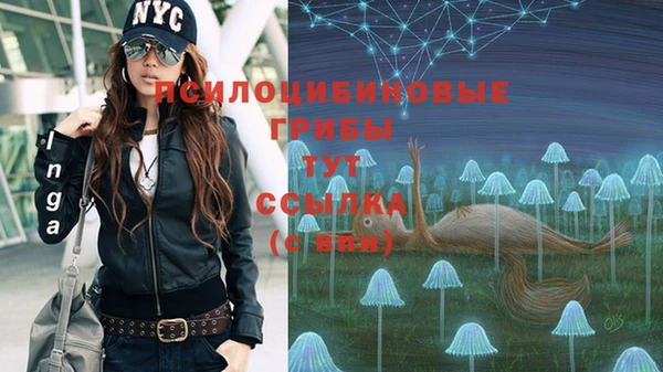 индика Балахна