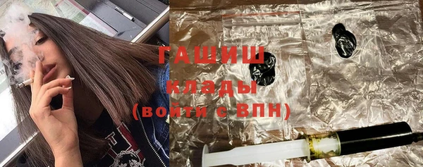 индика Балахна