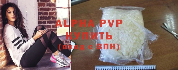 индика Балахна