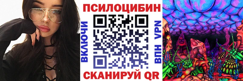 где купить   Лаишево  Галлюциногенные грибы Magic Shrooms 